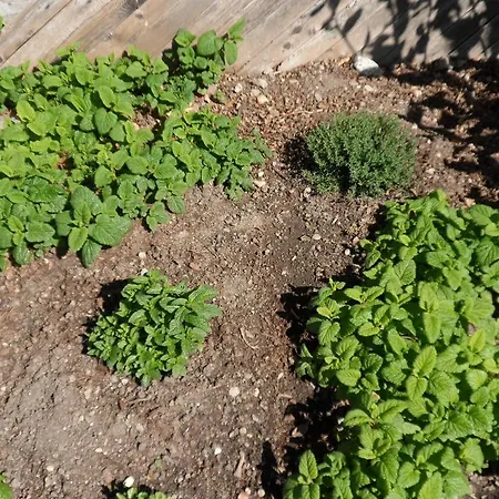 Verdorfer Szálloda 3*