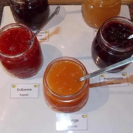 Hotel Verdorfer Meran